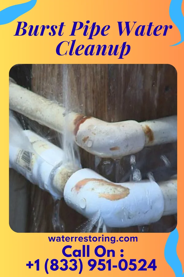 Burst Pipe Water Cleanup in Heidlersburg, PA