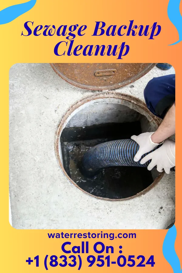 Sewage Backup Cleanup in Heidlersburg, PA