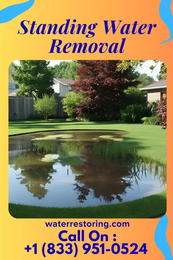 Standing Water Removal in Heidlersburg, PA
